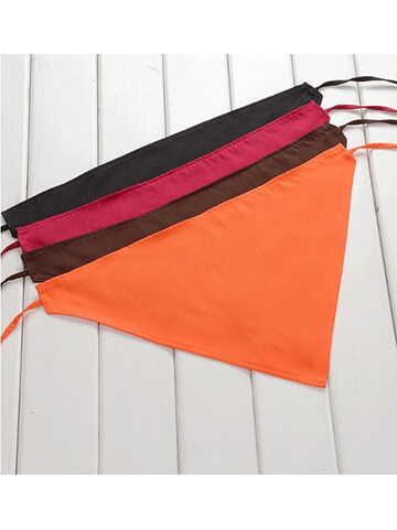 廚師制服套裝 - 女性專業套裝範例